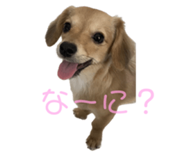 617399990