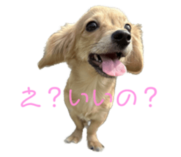617400002