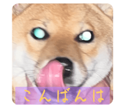 617411300
