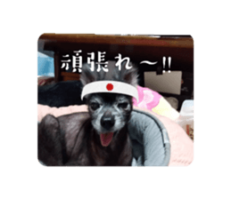 617445646