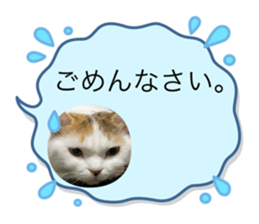 617457830