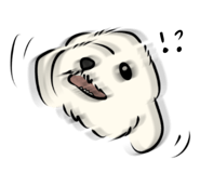 617511978