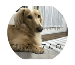 617529177