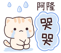 617618443