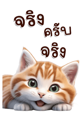 617628835