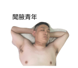 617631335