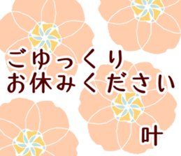 61763306