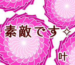 61763313