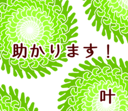 61763323