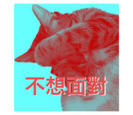 617636086