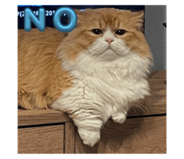 617687416