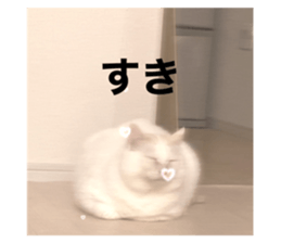 617740277