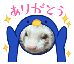 617757553