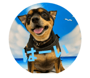 617770863