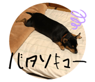 617770868