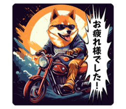 617870203