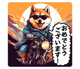 617870206