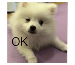 617881682