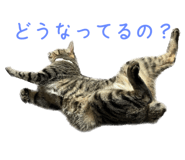 617900402