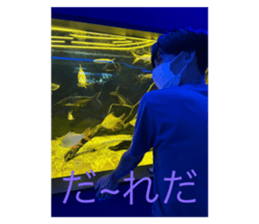 617998931