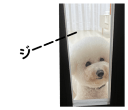 618083844