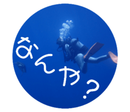 618093938