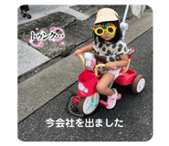 618096535