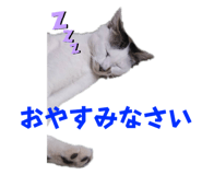 618160506