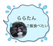 618161170