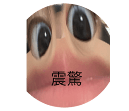 618437762