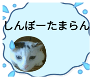 618446374