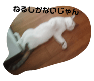 618446380