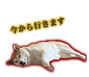 618508843