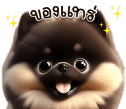 618590566