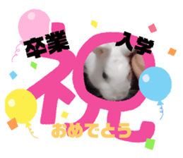 618609534