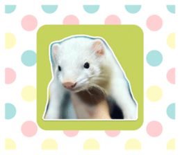 618629934