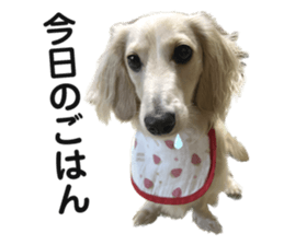 618666720
