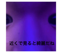 618841294