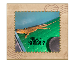 618909601