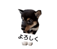 619029846