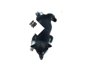 619029849