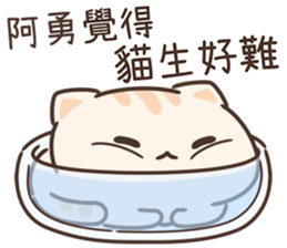 619054106