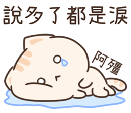 619055048