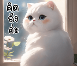 619057911