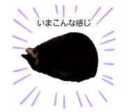 619092582