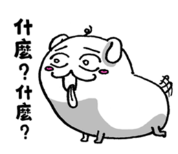 6191531