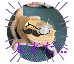 619237284