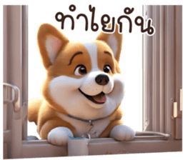 619302437