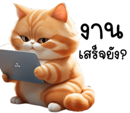 619310312