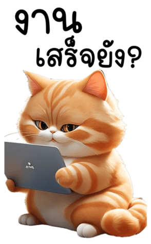 619311381